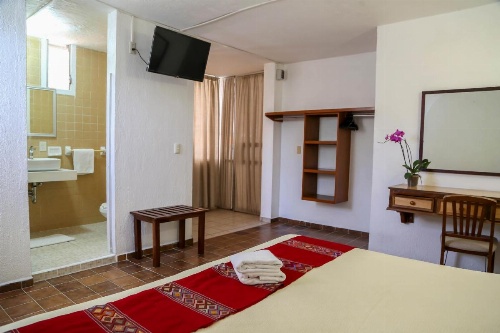 Vallartasol Hotel image 41